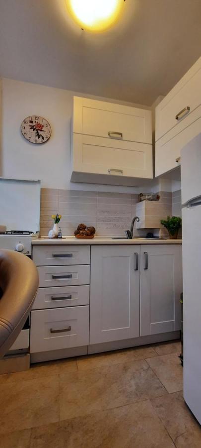 Farmec Studio Lägenhet Cluj-Napoca Exteriör bild